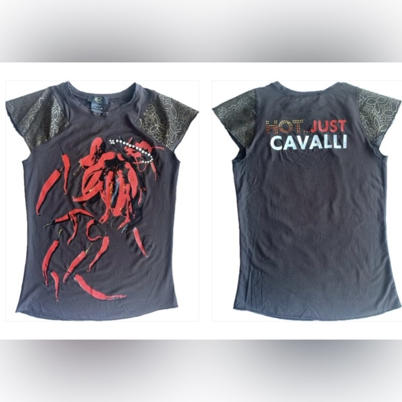 Just Cavalli Printed and Rhinestone Embellished Brown T-Shirt XS Women - Picture 2 of 6